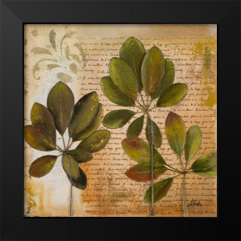 Botanica I Black Modern Wood Framed Art Print by Pinto, Patricia