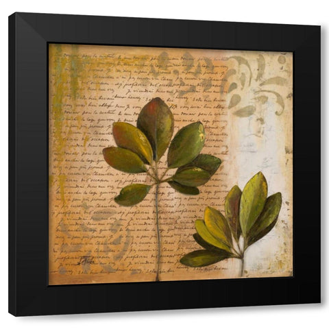 Botanica II Black Modern Wood Framed Art Print by Pinto, Patricia