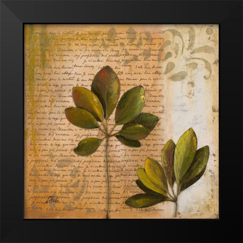 Botanica II Black Modern Wood Framed Art Print by Pinto, Patricia