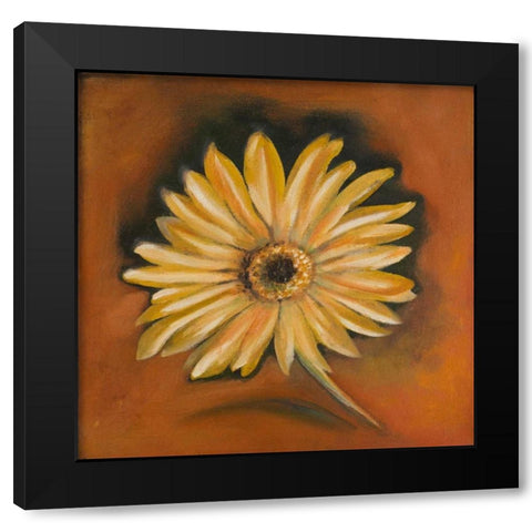 Daisy Collection I Black Modern Wood Framed Art Print by Arenas, Nelly