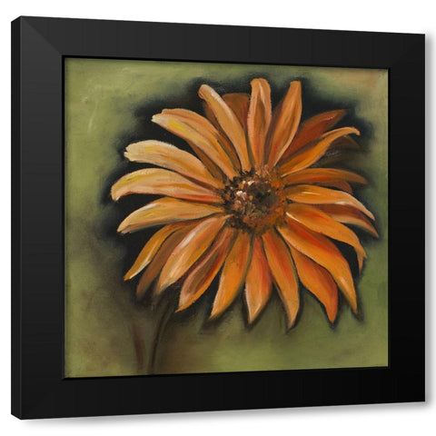 Daisy Collections III Black Modern Wood Framed Art Print with Double Matting by Arenas, Nelly