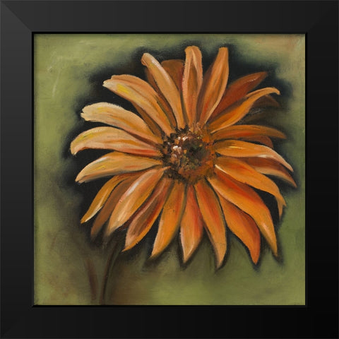 Daisy Collections III Black Modern Wood Framed Art Print by Arenas, Nelly
