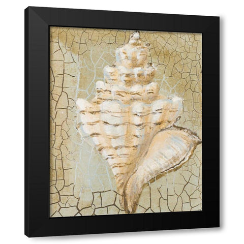 Seashell I Black Modern Wood Framed Art Print with Double Matting by Hakimipour-Ritter