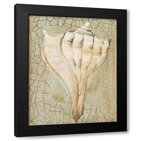 Seashell II Black Modern Wood Framed Art Print by Hakimipour-Ritter