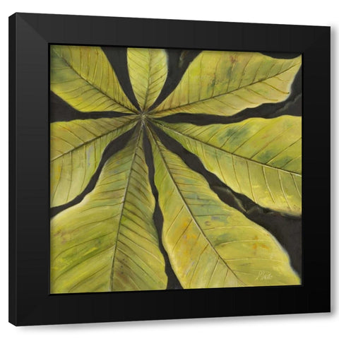 Evergreen II Black Modern Wood Framed Art Print with Double Matting by Pinto, Patricia