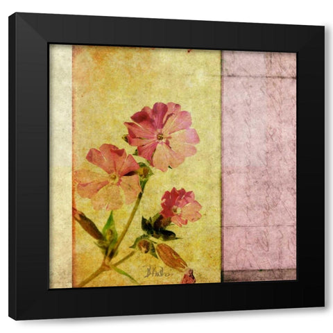 Vintage Diary Square II Black Modern Wood Framed Art Print with Double Matting by Pinto, Patricia