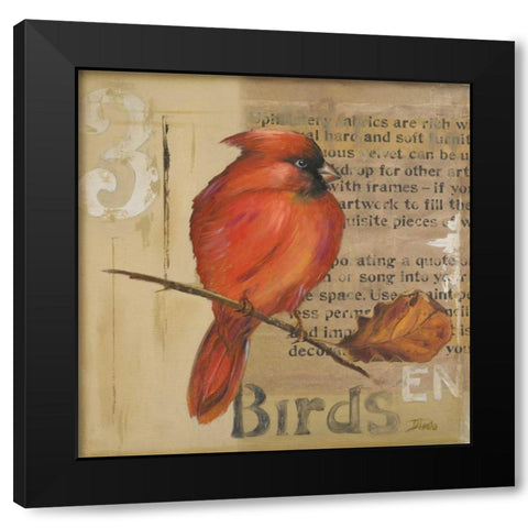 Red Love Birds II Black Modern Wood Framed Art Print with Double Matting by Pinto, Patricia