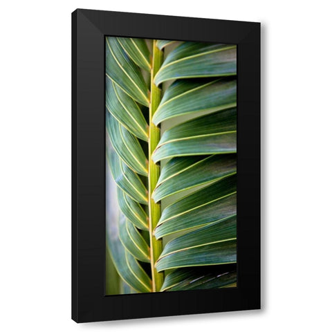 Palma I Black Modern Wood Framed Art Print by Bryant, Susan