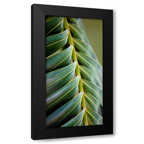 Palma II Black Modern Wood Framed Art Print by Bryant, Susan
