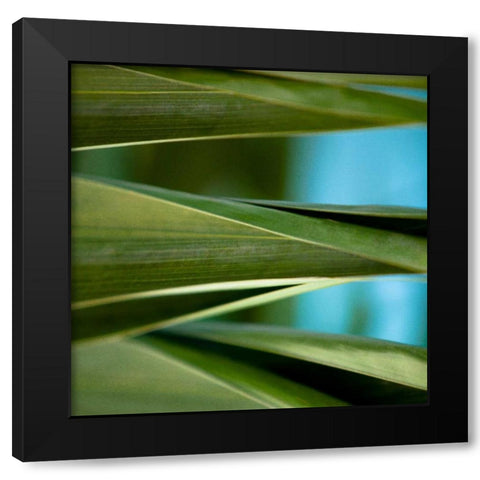 Palma III Black Modern Wood Framed Art Print with Double Matting by Bryant, Susan