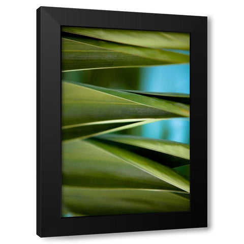 Palma III Black Modern Wood Framed Art Print with Double Matting by Bryant, Susan
