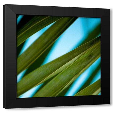 Palma IV Black Modern Wood Framed Art Print by Bryant, Susan