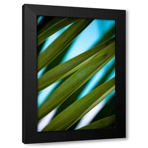 Palma IV Black Modern Wood Framed Art Print with Double Matting by Bryant, Susan