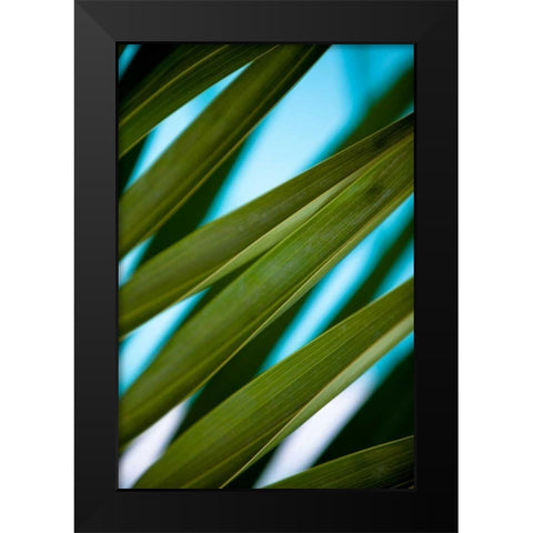 Palma IV Black Modern Wood Framed Art Print by Bryant, Susan