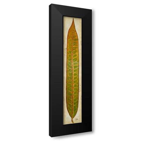 Crotos II Black Modern Wood Framed Art Print by Pinto, Patricia