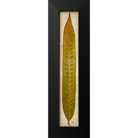 Crotos II Black Modern Wood Framed Art Print by Pinto, Patricia