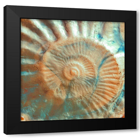 Nautique I Black Modern Wood Framed Art Print with Double Matting by Rodriguez, Jairo