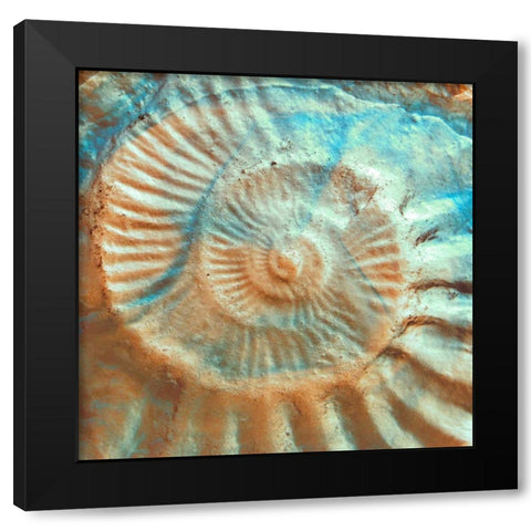 Nautique II Black Modern Wood Framed Art Print by Rodriguez, Jairo