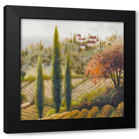 Tuscany Vineyard II Black Modern Wood Framed Art Print by Marcon, Michael