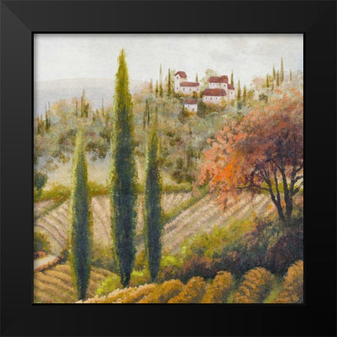 Tuscany Vineyard II Black Modern Wood Framed Art Print by Marcon, Michael