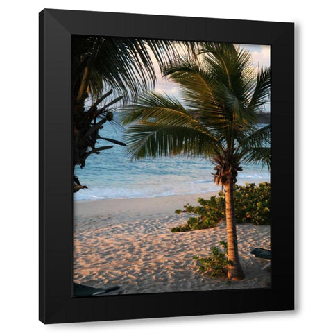 Sunset Palms II Black Modern Wood Framed Art Print with Double Matting by Bryant, Susan