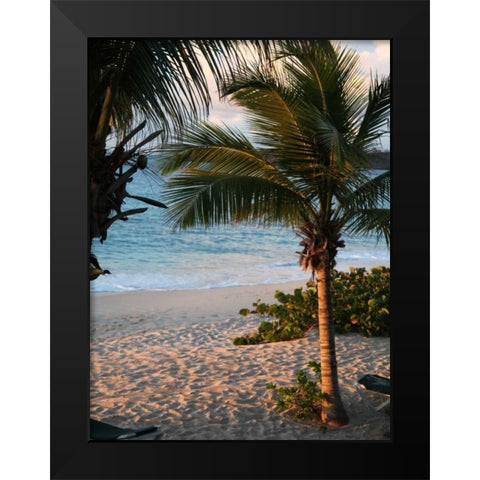 Sunset Palms II Black Modern Wood Framed Art Print by Bryant, Susan