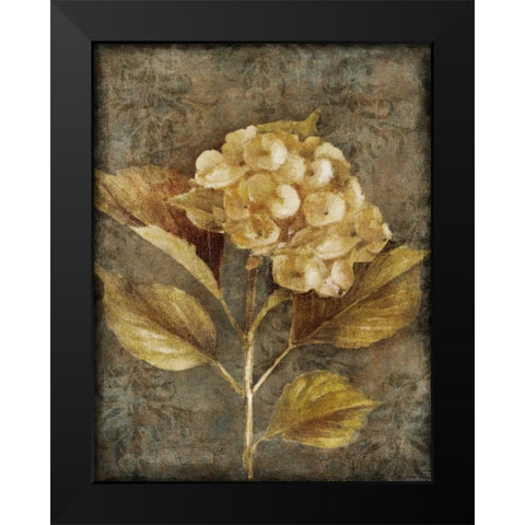 Antique Hydrangea I Black Modern Wood Framed Art Print by Loreth, Lanie