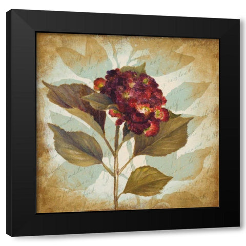 Aubergine Hydrangea Portrait Black Modern Wood Framed Art Print by Loreth, Lanie
