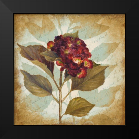 Aubergine Hydrangea Portrait Black Modern Wood Framed Art Print by Loreth, Lanie