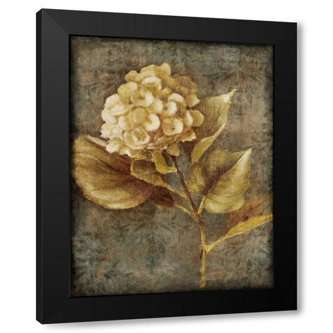 Antique Hydrangea II Black Modern Wood Framed Art Print by Loreth, Lanie