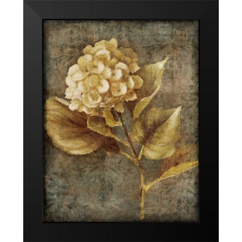 Antique Hydrangea II Black Modern Wood Framed Art Print by Loreth, Lanie