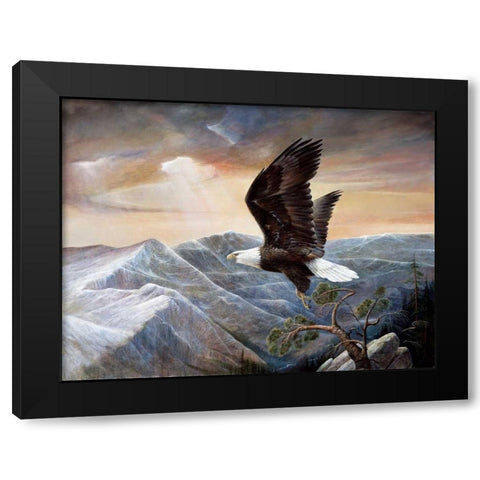 Eagles Lair Black Modern Wood Framed Art Print with Double Matting by Manning, Ruane