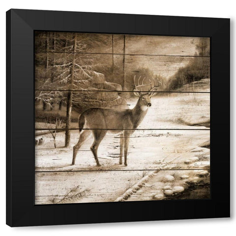 Shadows of the Forest Black Modern Wood Framed Art Print by Manning, Ruane