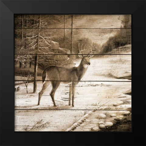 Shadows of the Forest Black Modern Wood Framed Art Print by Manning, Ruane