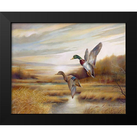 Mallards Black Modern Wood Framed Art Print by Manning, Ruane