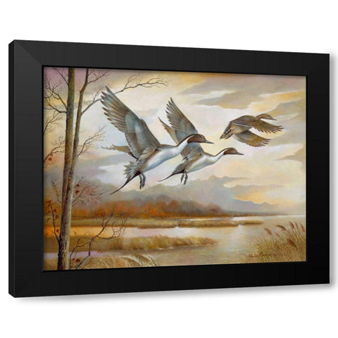 Pintails Black Modern Wood Framed Art Print with Double Matting by Manning, Ruane