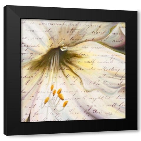 Lily Script II Black Modern Wood Framed Art Print with Double Matting by Pinto, Patricia