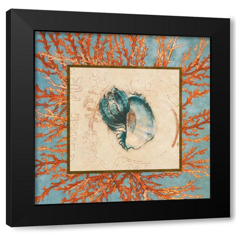 Coral Medley Shell II Black Modern Wood Framed Art Print by Loreth, Lanie
