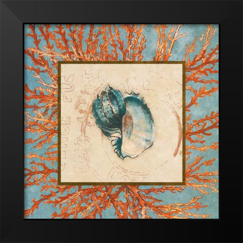 Coral Medley Shell II Black Modern Wood Framed Art Print by Loreth, Lanie