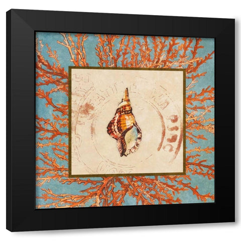 Coral Medley Shell IV Black Modern Wood Framed Art Print with Double Matting by Loreth, Lanie