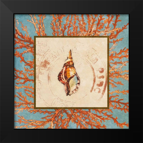 Coral Medley Shell IV Black Modern Wood Framed Art Print by Loreth, Lanie