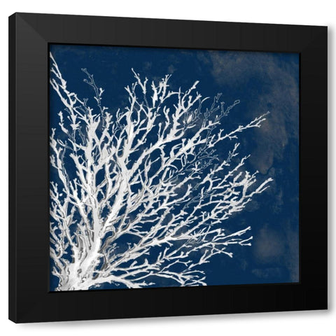 Coastal Coral II Black Modern Wood Framed Art Print by Loreth, Lanie