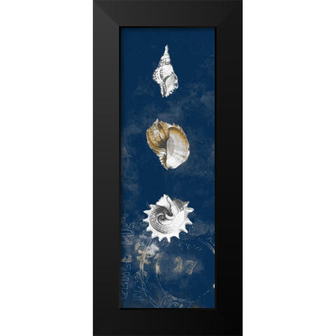 Coastal Shells Panel II Black Modern Wood Framed Art Print by Loreth, Lanie