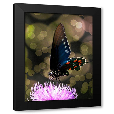 Butterfly Bokeh I Black Modern Wood Framed Art Print with Double Matting by Mansfield, Kathy