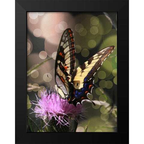Butterfly Bokeh II Black Modern Wood Framed Art Print by Mansfield, Kathy