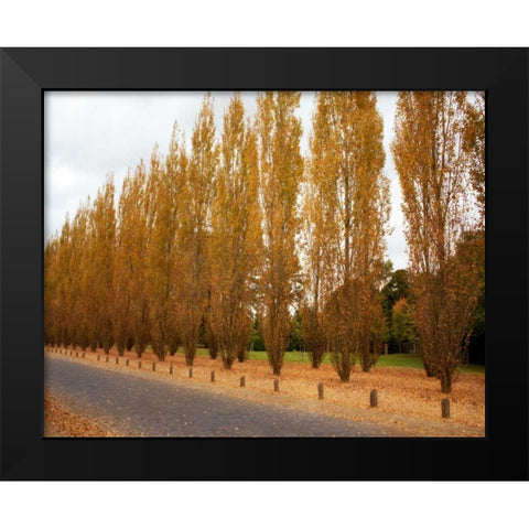 Versailles in Fall I Black Modern Wood Framed Art Print by Navas, Emily