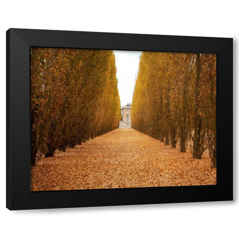 Versailles in Fall II Black Modern Wood Framed Art Print with Double Matting by Navas, Emily