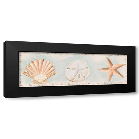 Sandy Shells I Black Modern Wood Framed Art Print by Hakimipour, Tiffany