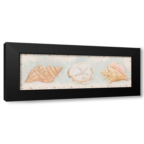Sandy Shells II Black Modern Wood Framed Art Print with Double Matting by Hakimipour, Tiffany