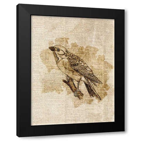 Vintage Bird I Black Modern Wood Framed Art Print with Double Matting by Studio, Sd Graphics